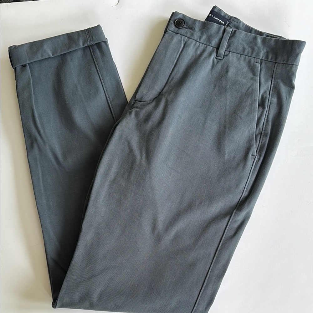 Everlane Gray Chinos Flat Front Tailored Fit